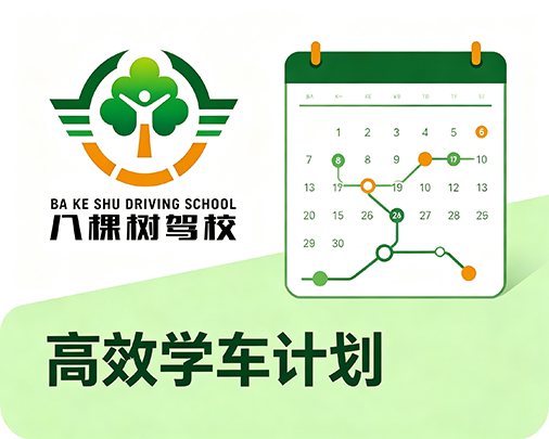 高效学车计划