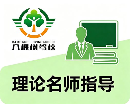 理论名师指导